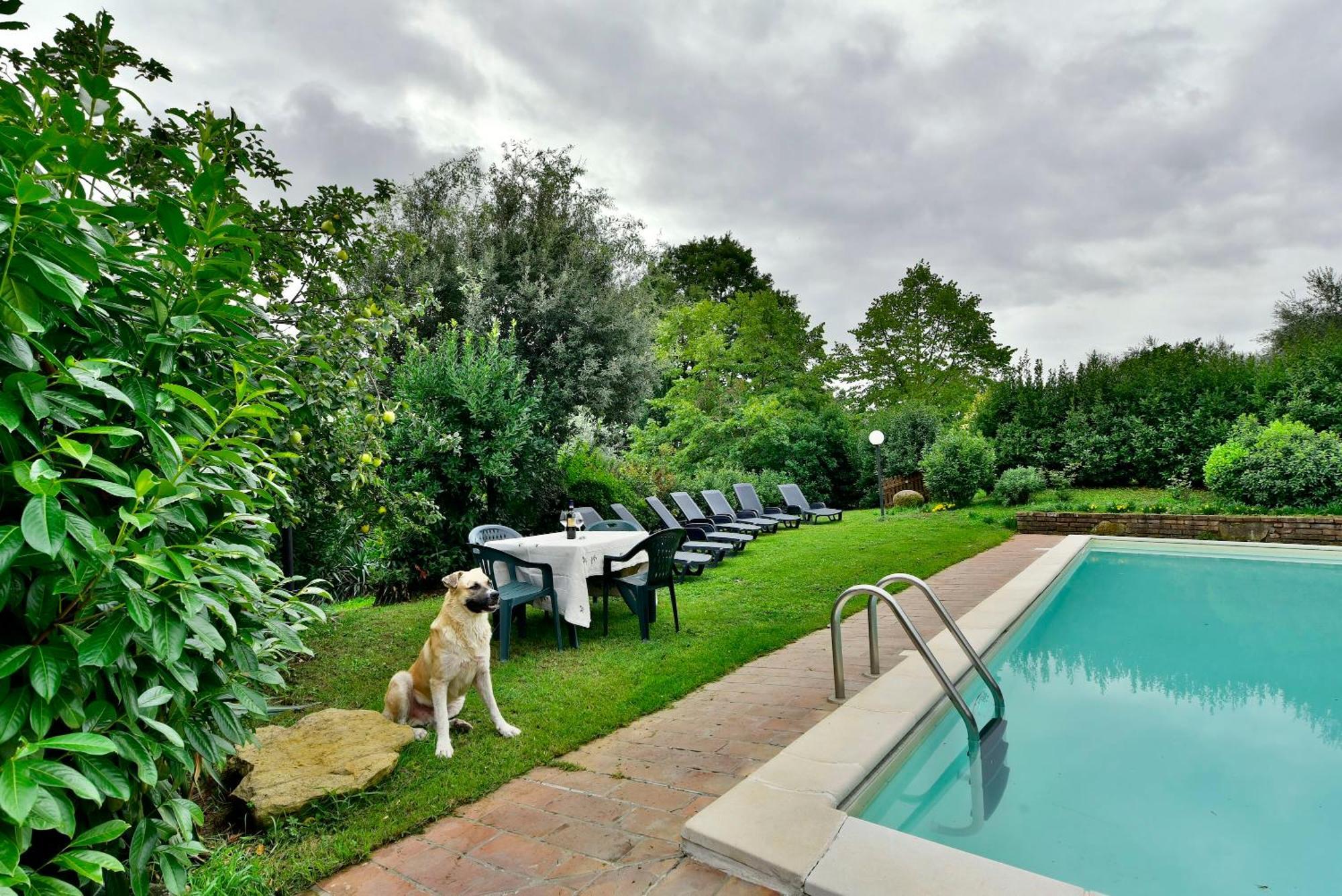 Agriturismo Corvaia Radicofani Extérieur photo
