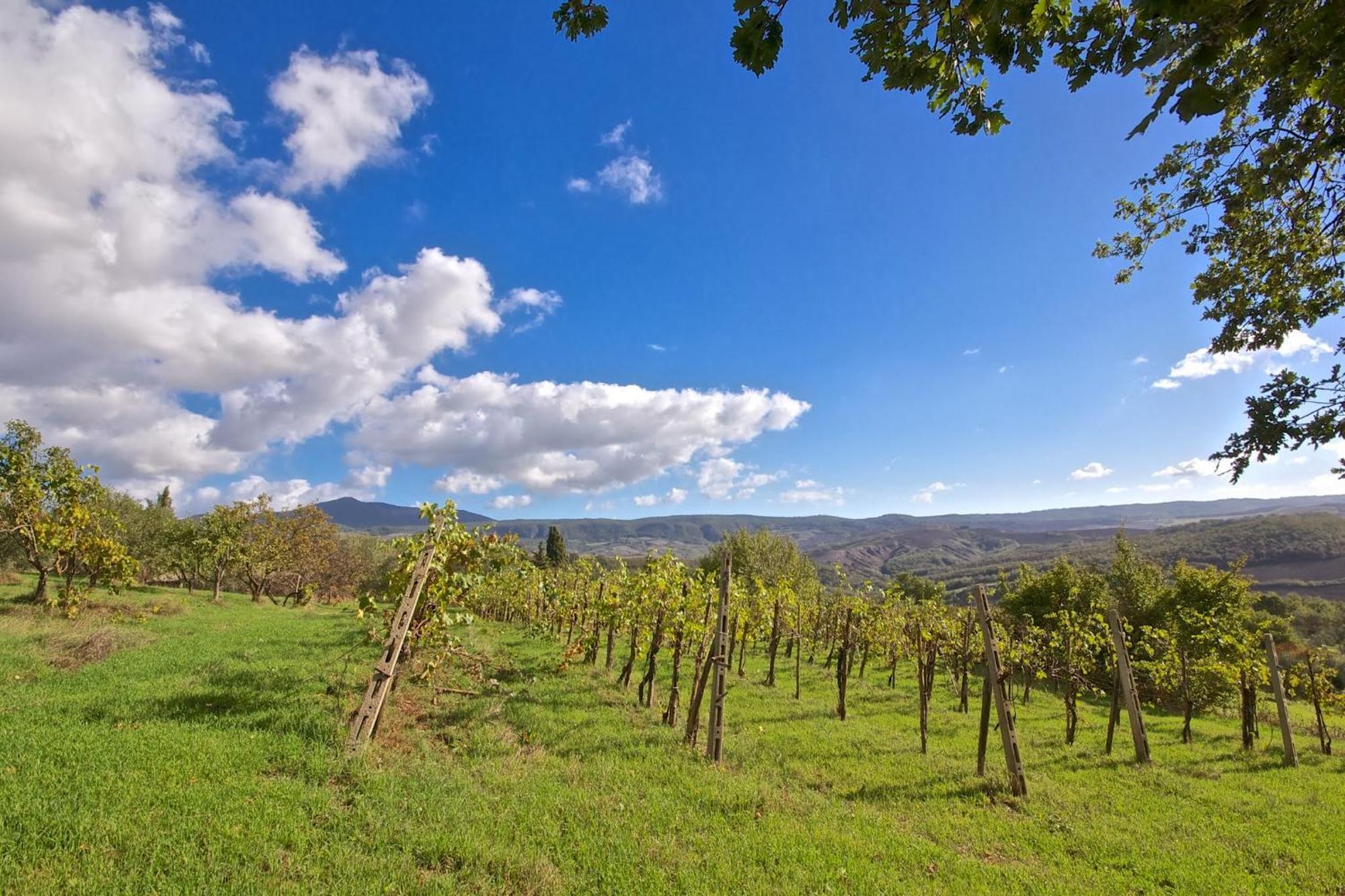 Agriturismo Corvaia Radicofani Extérieur photo